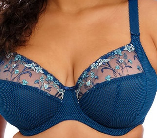 Elomi Charlie Plunge Bra Petrol